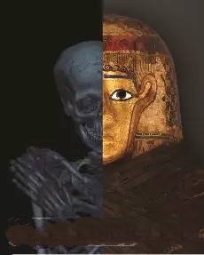 3D打印技術(shù)助歷史學(xué)家剖析木乃伊"結(jié)構(gòu)"_e鍵打印服務(wù)平臺(tái) 3D打印技術(shù)助歷史學(xué)家剖析木乃伊"結(jié)構(gòu)"_e鍵打印服務(wù)平臺(tái)